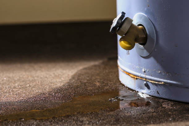 Best Flooded house restoration  in Orchard Grass Hills, KY