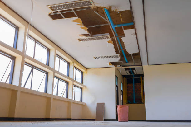 Best Basement water damage restoration  in Orchard Grass Hills, KY