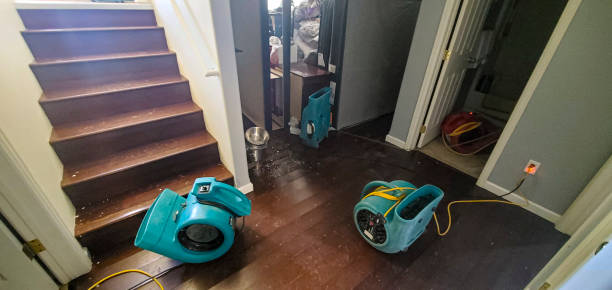 Best Water damage restoration specialists  in Orchard Grass Hills, KY