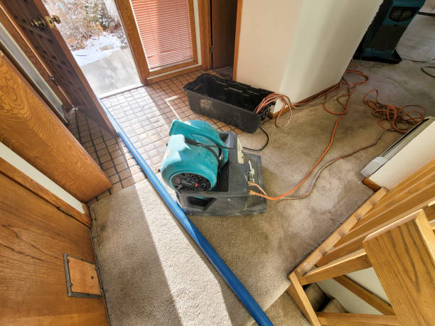 Best Flood damage cleanup  in Orchard Grass Hills, KY
