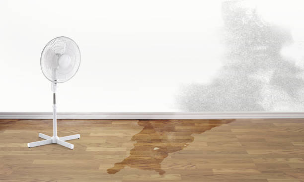 Best Commercial water damage restoration  in Orchard Grass Hills, KY