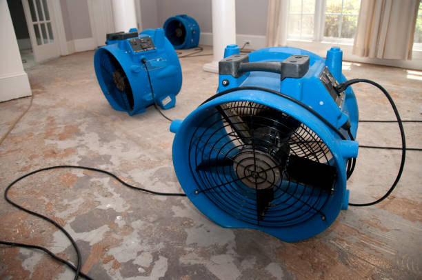 Best Water damage restoration company  in Orchard Grass Hills, KY