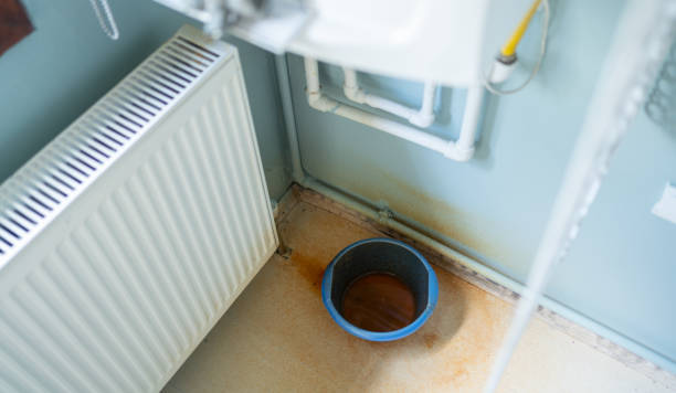 Best Water damage repair service  in Orchard Grass Hills, KY