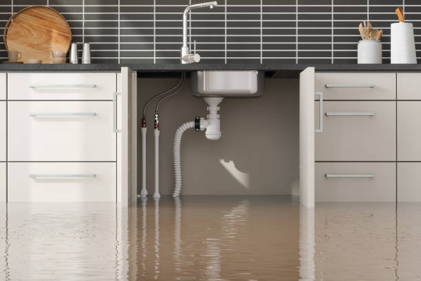 Best Local water damage restoration  in Orchard Grass Hills, KY