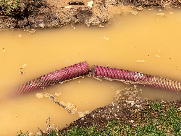 Best Local water damage restoration  in Orchard Grass Hills, KY