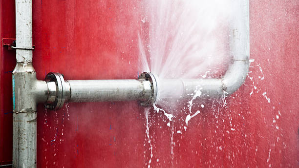 Best Carpet water damage restoration  in Orchard Grass Hills, KY